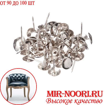 Гвозди декорат.5406(1х100)