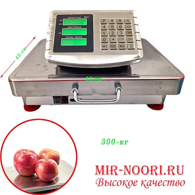 Весы 3669-300 (1х1)
