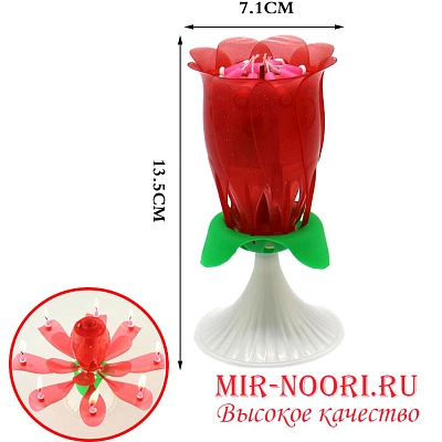 Свечи д/торта муз. ЦвТюльпан б.7321 (1х100)